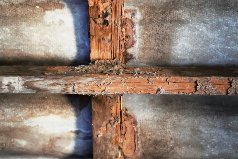 Cost of Termite Damage Repair — Cost of Termite Damage Repair