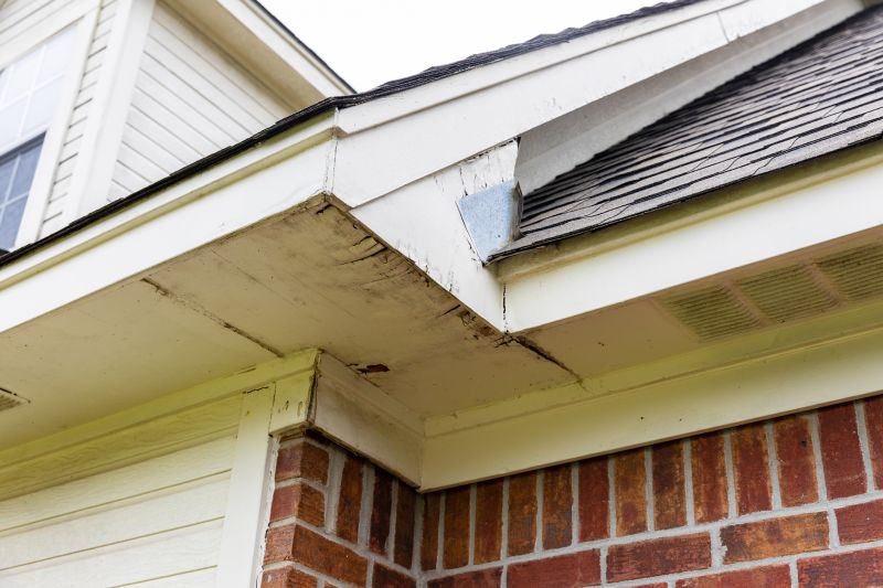 Garage Fascia Repair in Overland Park, KS