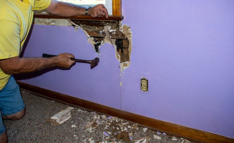 Termite Damage Repair