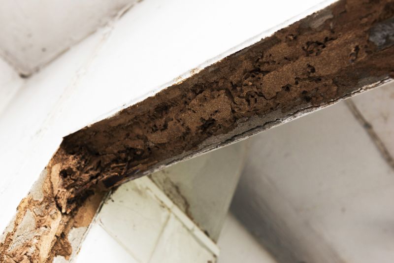 Termite Damage Repair